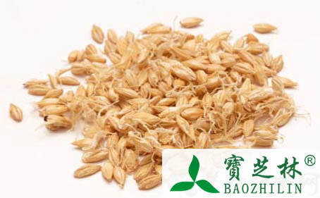 麦芽的功效作用及食用方法
