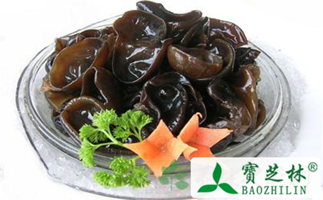 黑木耳的功效和作用