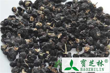 黑枸杞的功效作用与食用方法