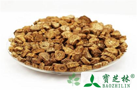 中医解读牛蒡的功效和作用