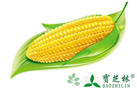 高丽参的作用与功效介绍