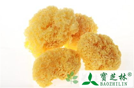 银耳的功效及其做法