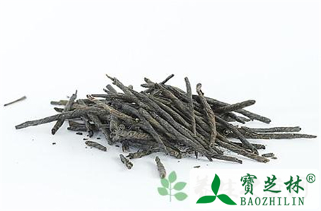 苦丁茶的功效和作用有什么