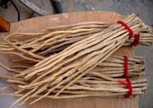 详解怀牛膝的功效与作用 怀牛膝的中医验方有哪些