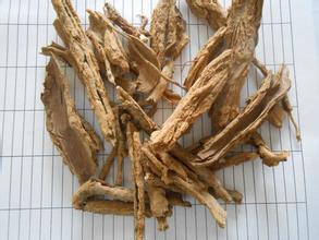 地骨皮的功效与作用及食用方法介绍 告诉你它的多种益处