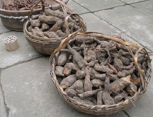何首乌的功效与作用及食用方法有哪些 何首乌可以做什么