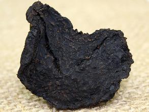 中药黄精的作用有哪些 黄精的附方介绍
