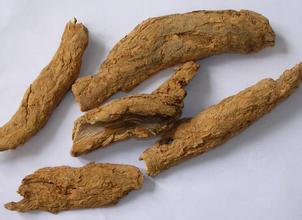 地骨皮的副作用不明显 但要注意禁忌