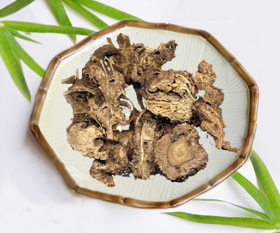 苍术有哪些功效与作用 这些功用你知道多少