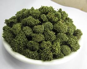 田七花的功效有哪些 田七花泡水喝的禁忌