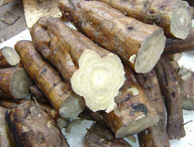 葛根的功效 详解食用葛根的具体方法