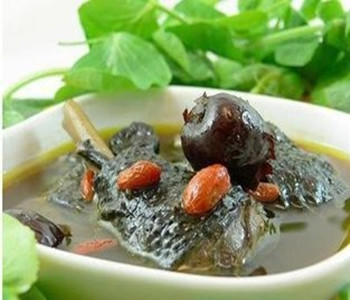 阿胶的食用方法介绍 详解阿胶功效作用