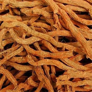 丹参的功效与作用 食用丹参要谨慎