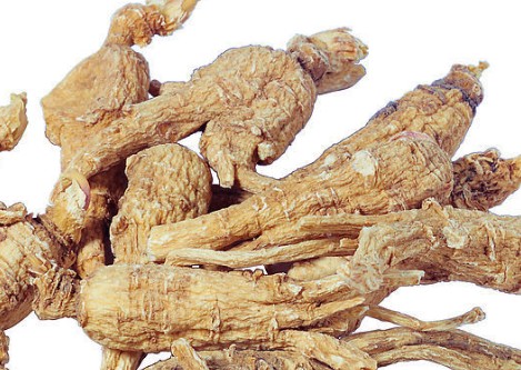 当归的功效与副作用 食用当归禁忌要知道