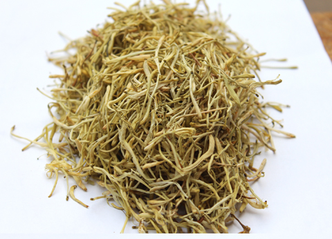 金银花茶的功效与作用 金银花泡水喝方法