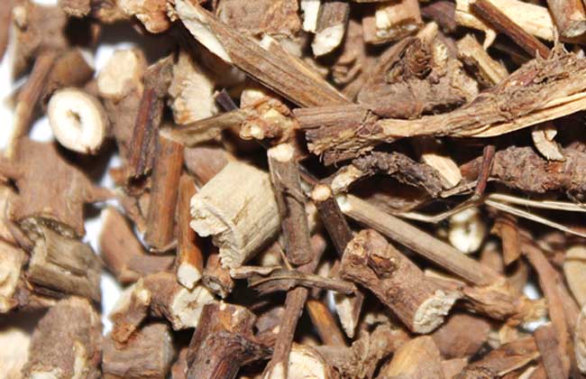 柴胡的作用与功效 中药柴胡的使用方法