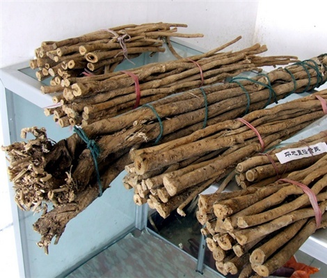 甘草梢的功效与作用 甘草梢的种类