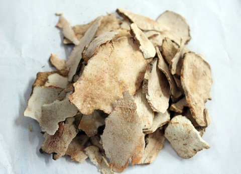 土茯苓的副作用,土茯苓的治病偏方