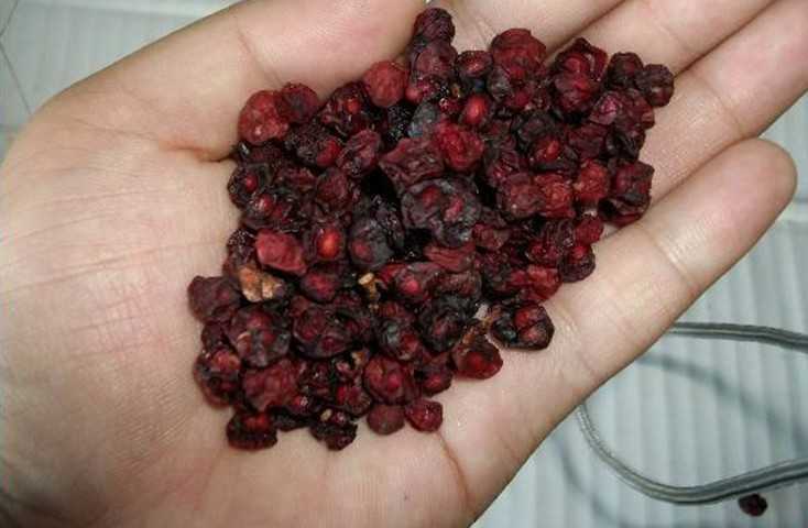 五味子的功效与作用 保肺滋肾强心
