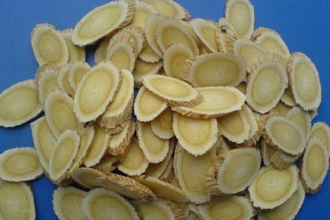 中药黄芪的配伍禁忌相关介绍