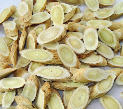 黄芪的食疗价值:女性食用可助滋补