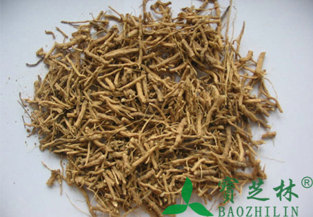 中药远志的功效与作用及禁忌