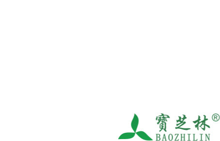 绿豆芽多长好