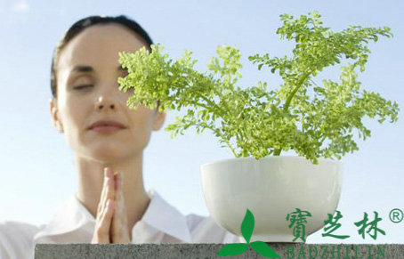 挑选茶叶的方法