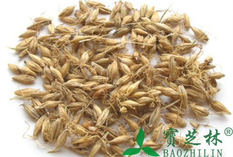小麦芽的功效与作用
