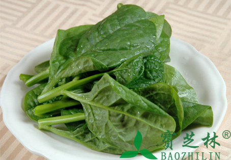 木耳菜的功效与作用、营养价值