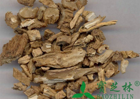 生百部的功效与作用及禁忌