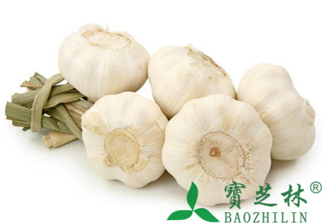 吃大蒜有什么好处和坏处