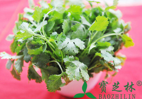 吃香菜有什么好处