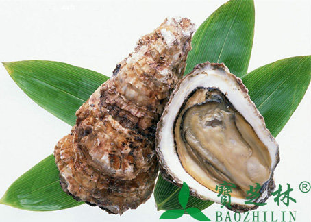 中药生牡蛎的功效与作用及禁忌
