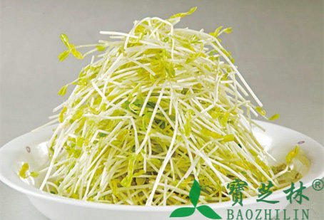 绿豆芽的营养价值及功效
