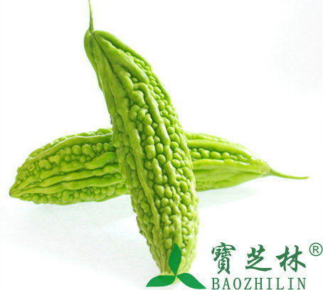 苦瓜的功效与作用及营养价值