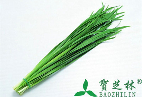 韭菜的功效与作用