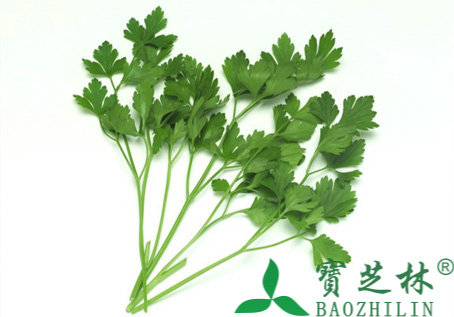 香菜的功效与作用