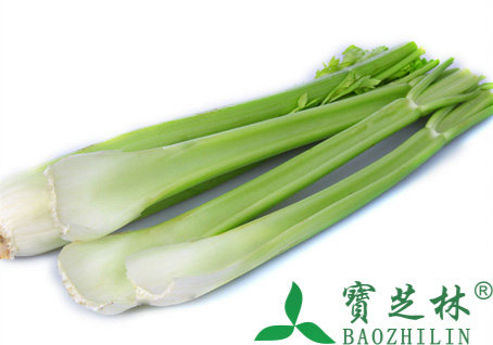 芹菜的功效与作用、营养价值