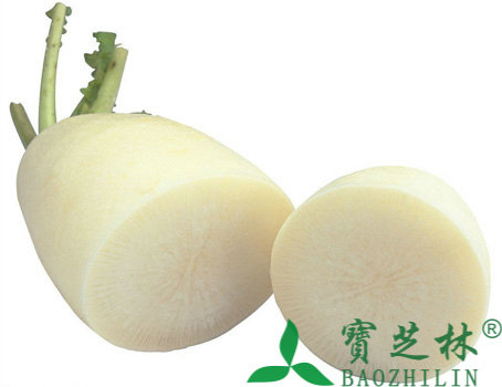 生吃白萝卜的功效与作用