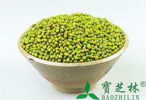 绿豆的功效与作用;吃绿豆有什么好处