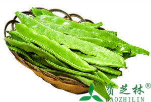 扁豆的功效与作用;吃扁豆有什么好处