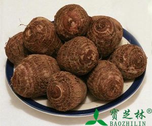 毛芋头的功效与作用