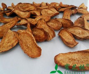 牛蒡的功效与作用_副作用