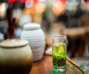 绿茶配什么喝好