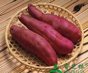 晚上吃红薯会胖吗