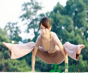 防风通圣丸的功效与作用_副作用