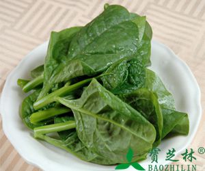 木耳菜的功效与作用_营养价值