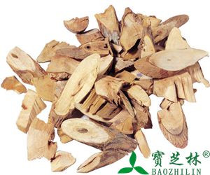 北芪的功效与作用_副作用
