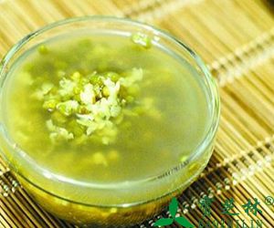 马齿苋绿豆汤治急性胃肠炎